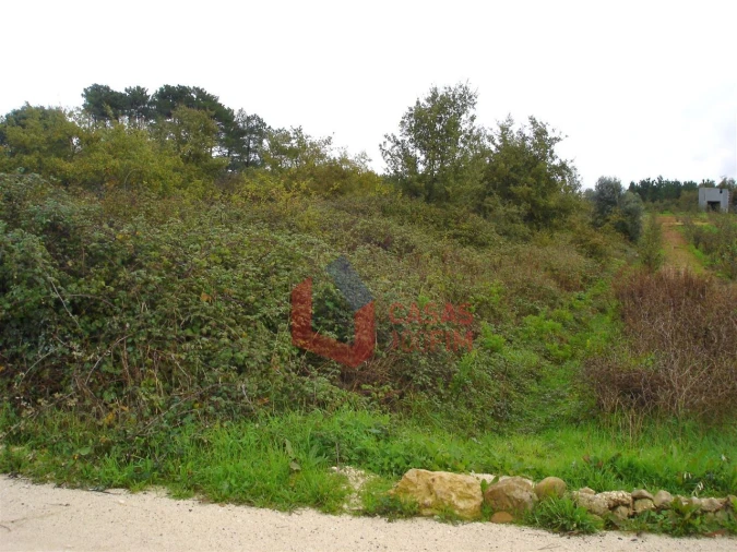 Terreno Agricola ou Rústico para Venda em Porto de Mós - São João Baptista e São Pedro Foto 2