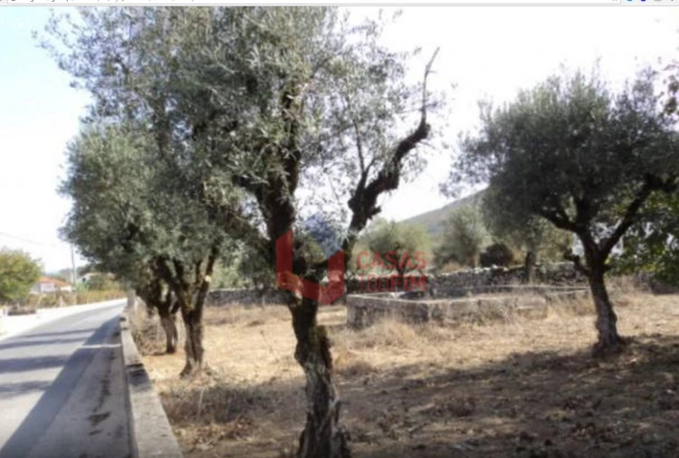 Terreno para Venda em Arrimal e Mendiga Foto 1