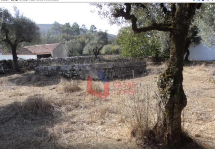 Terreno para Venda em Arrimal e Mendiga Foto 3