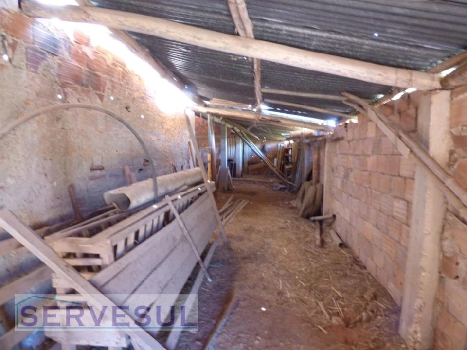 Terreno para Venda em Silves Foto 8