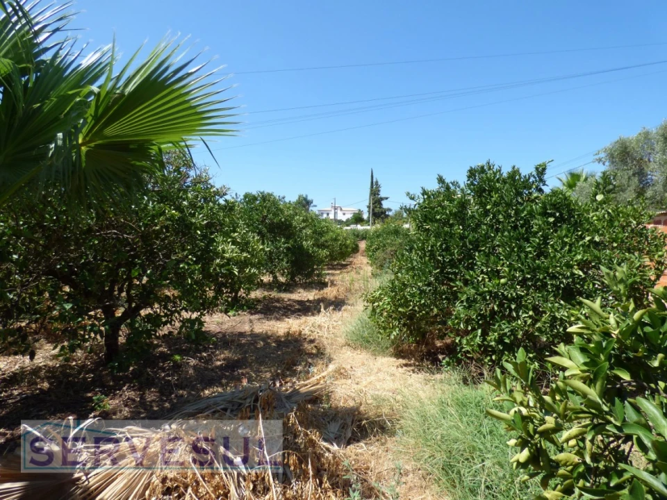 Terreno para Venda em Silves Foto 12