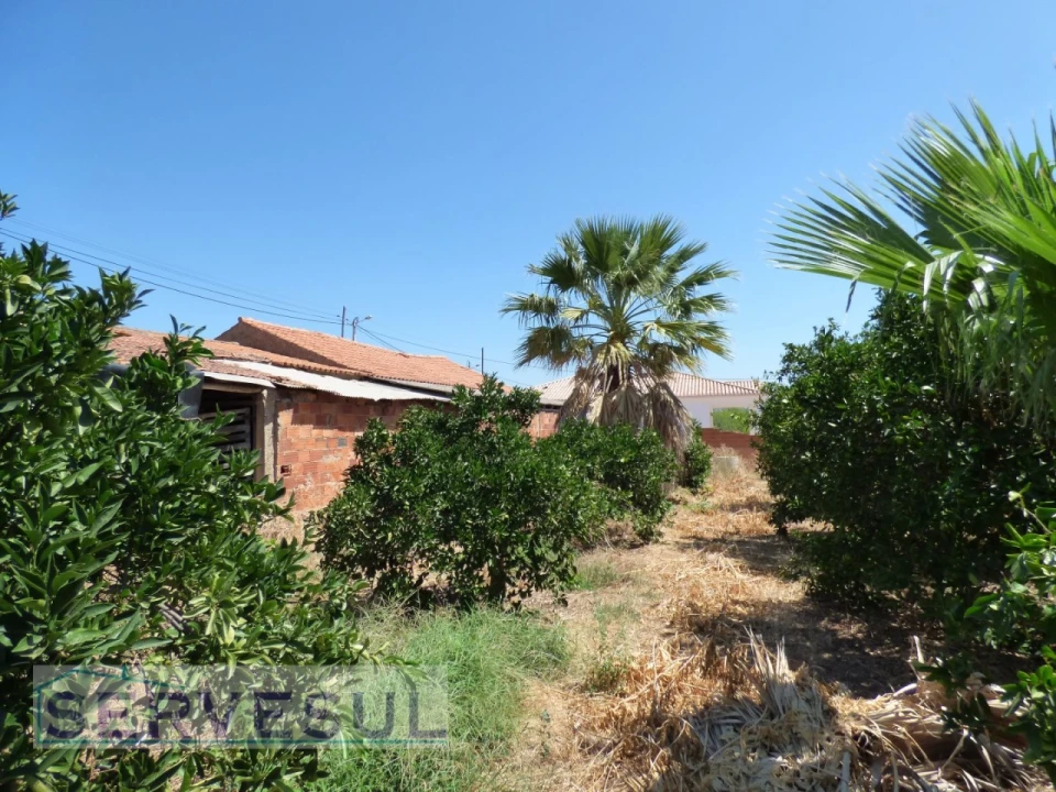 Terreno para Venda em Silves Foto 13