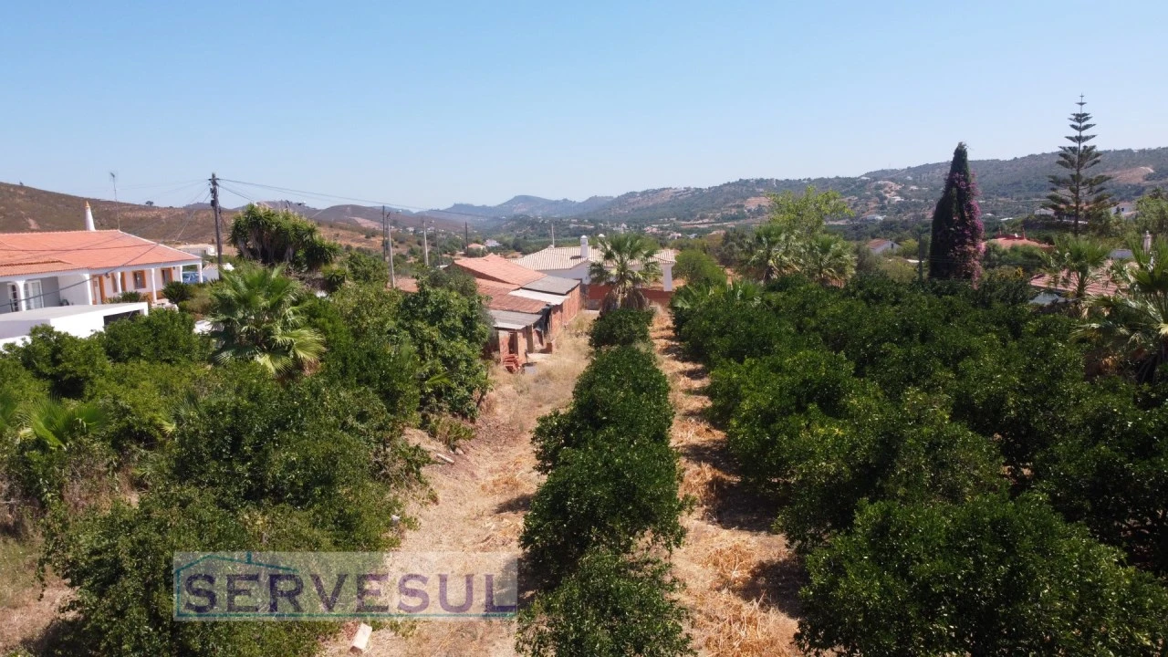 Terreno para Venda em Silves Foto 18