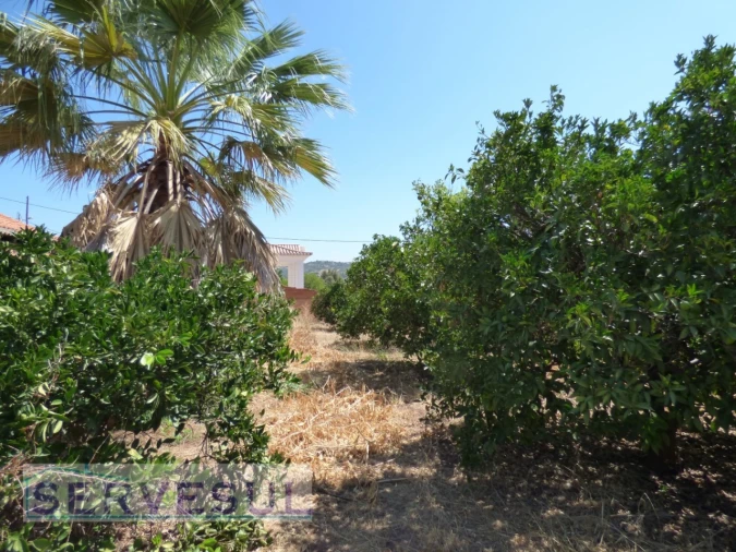 Terreno para Venda em Silves Foto 14