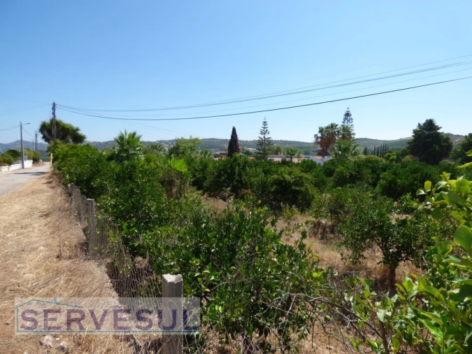 Terreno para Venda em Silves Foto 16