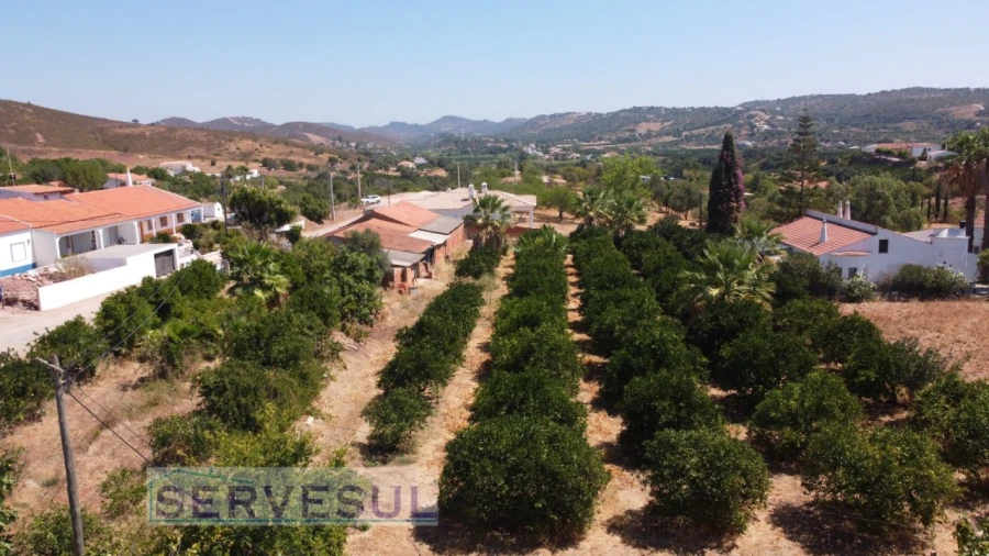 Terreno para Venda em Silves Foto 17