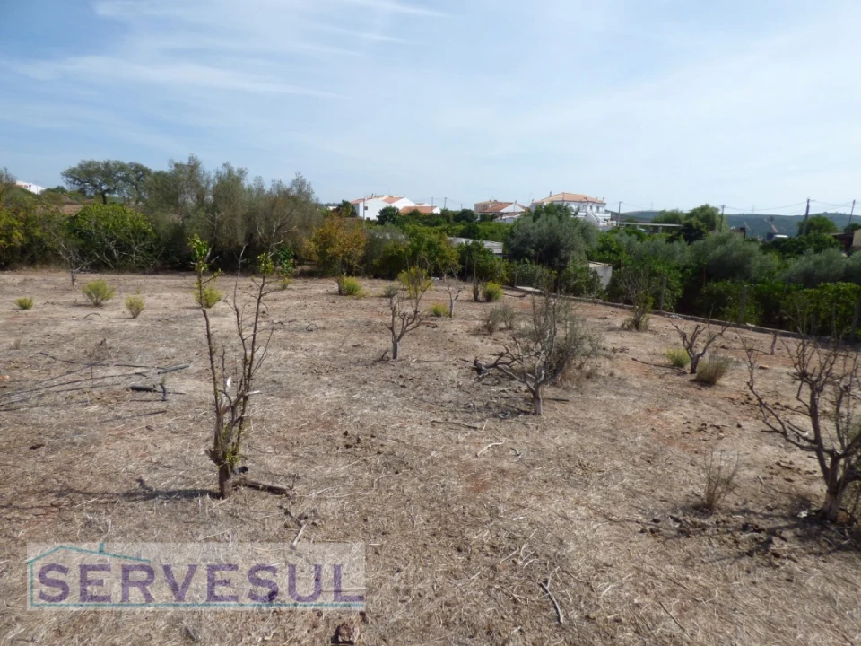 Quinta T8 para Venda em Silves Foto 20