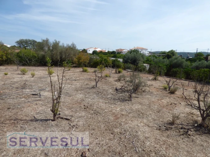 Quinta T8 para Venda em Silves Foto 20