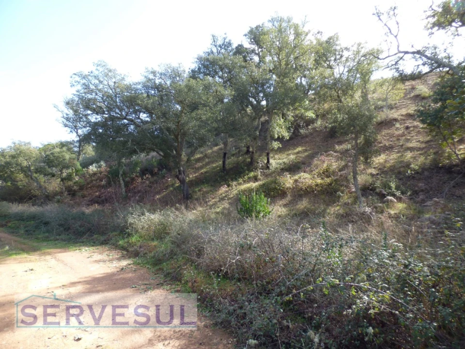 Terreno Agricola ou Rústico para Venda em São Marcos da Serra Foto 1