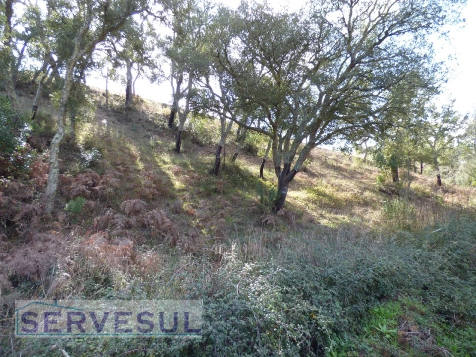 Terreno Agricola ou Rústico para Venda em São Marcos da Serra Foto 4
