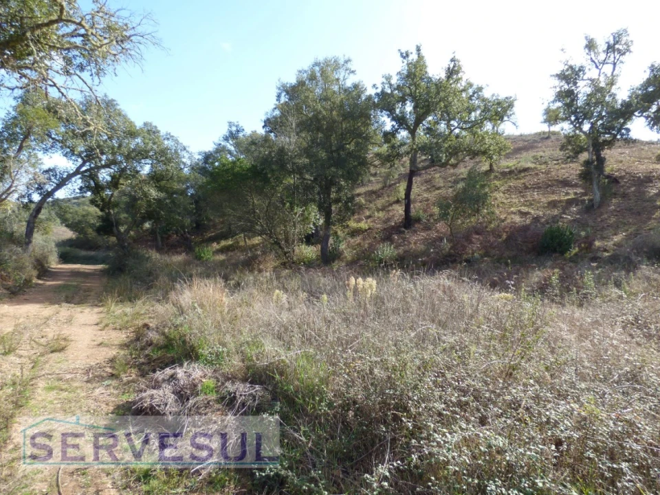 Terreno Agricola ou Rústico para Venda em São Marcos da Serra Foto 2