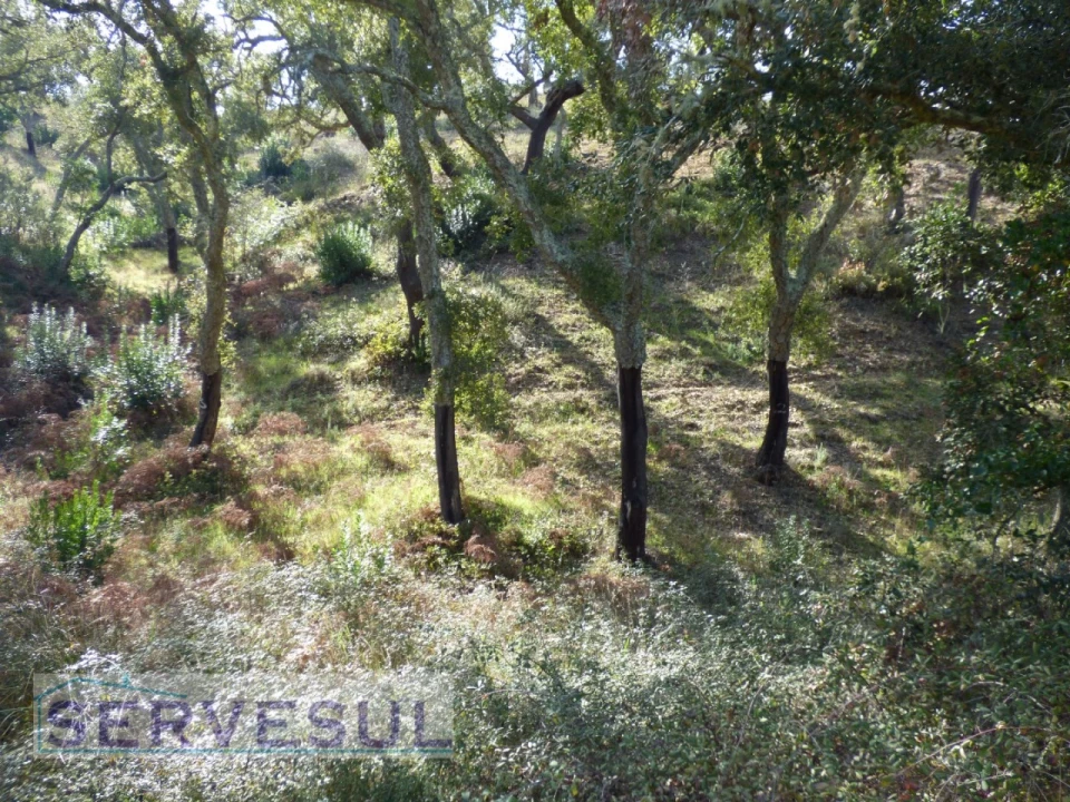 Terreno Agricola ou Rústico para Venda em São Marcos da Serra Foto 5