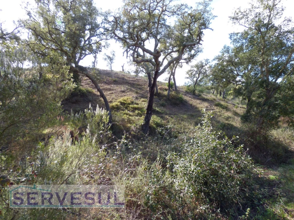 Terreno Agricola ou Rústico para Venda em São Marcos da Serra Foto 6