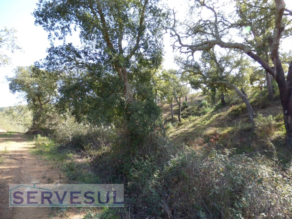 Terreno Agricola ou Rústico para Venda em São Marcos da Serra Foto 7