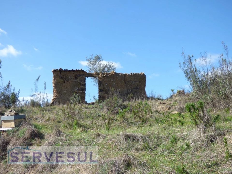 Terreno Agricola ou Rústico para Venda em São Marcos da Serra Foto 13