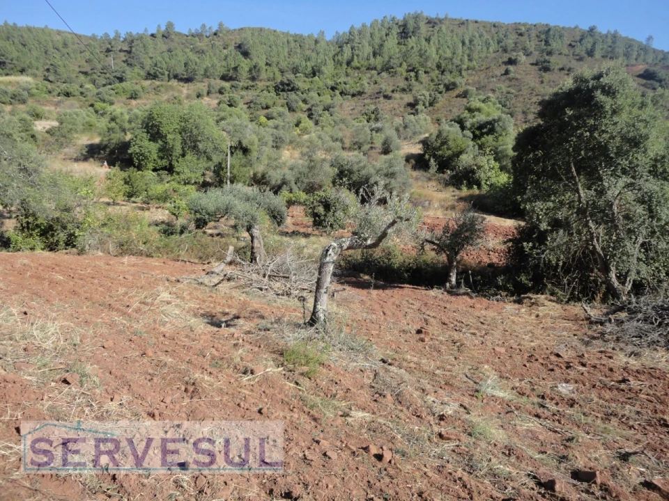 Moradia T1 para Venda em São Bartolomeu de Messines Foto 5