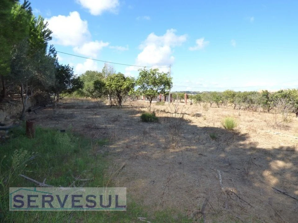 Quinta T6 para Venda em Alcantarilha e Pêra Foto 10