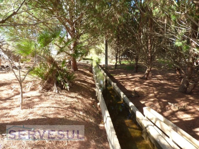 Quinta T6 para Venda em Alcantarilha e Pêra Foto 9