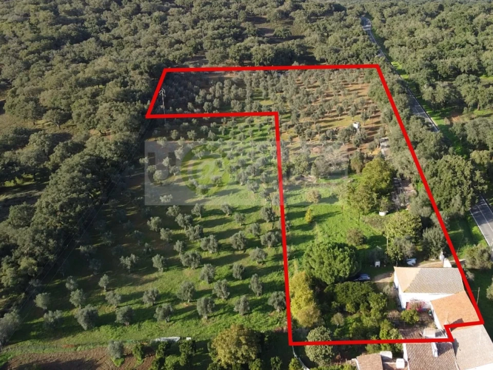 Quinta T2 para Venda em Santiago do Escoural Foto 3