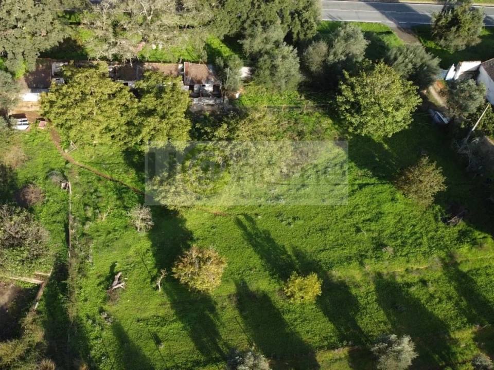 Quinta T2 para Venda em Santiago do Escoural Foto 4