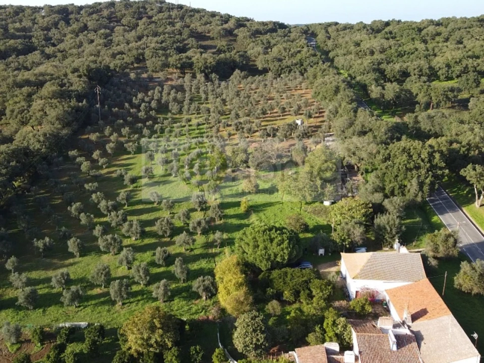 Quinta T2 para Venda em Santiago do Escoural Foto 6