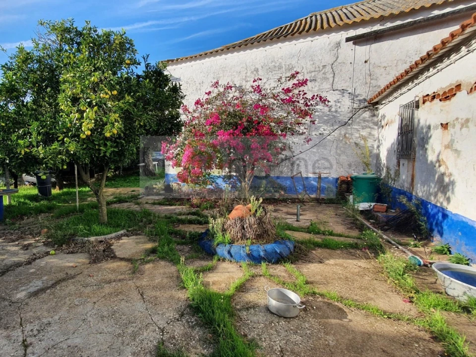 Quinta T2 para Venda em Santiago do Escoural Foto 12