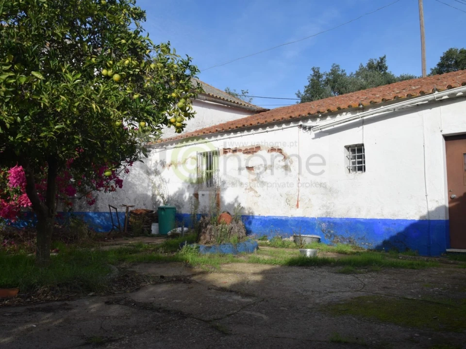 Quinta T2 para Venda em Santiago do Escoural Foto 13