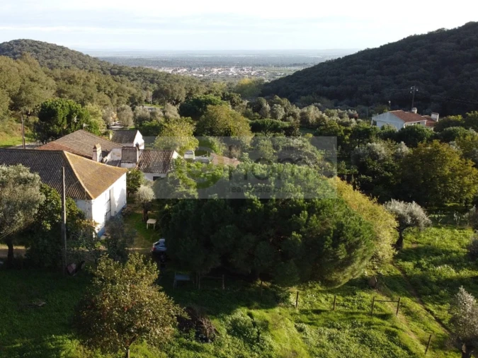 Quinta T2 para Venda em Santiago do Escoural Foto 5