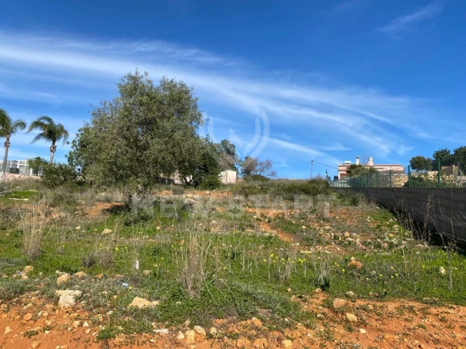 Terreno Misto para Venda em Pechão Foto 2