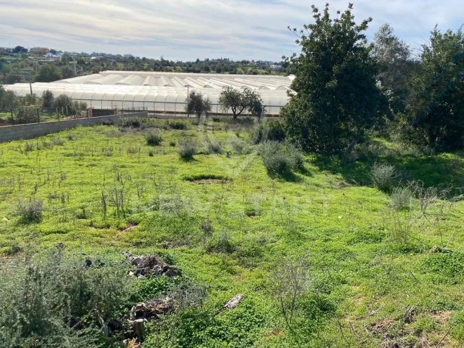 Terreno Misto para Venda em Pechão Foto 3