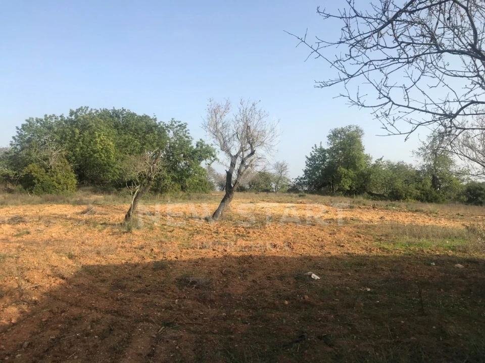 Terreno Misto para Venda em Quelfes Foto 6