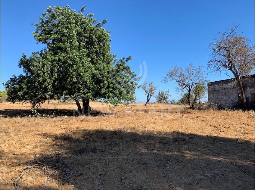 Terreno Misto para Venda em Quelfes Foto 3