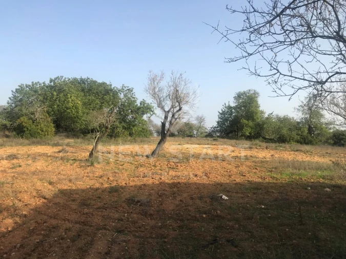 Terreno Misto para Venda em Quelfes Foto 6