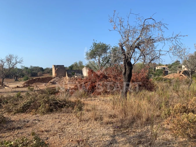 Terreno Misto para Venda em Quelfes Foto 8
