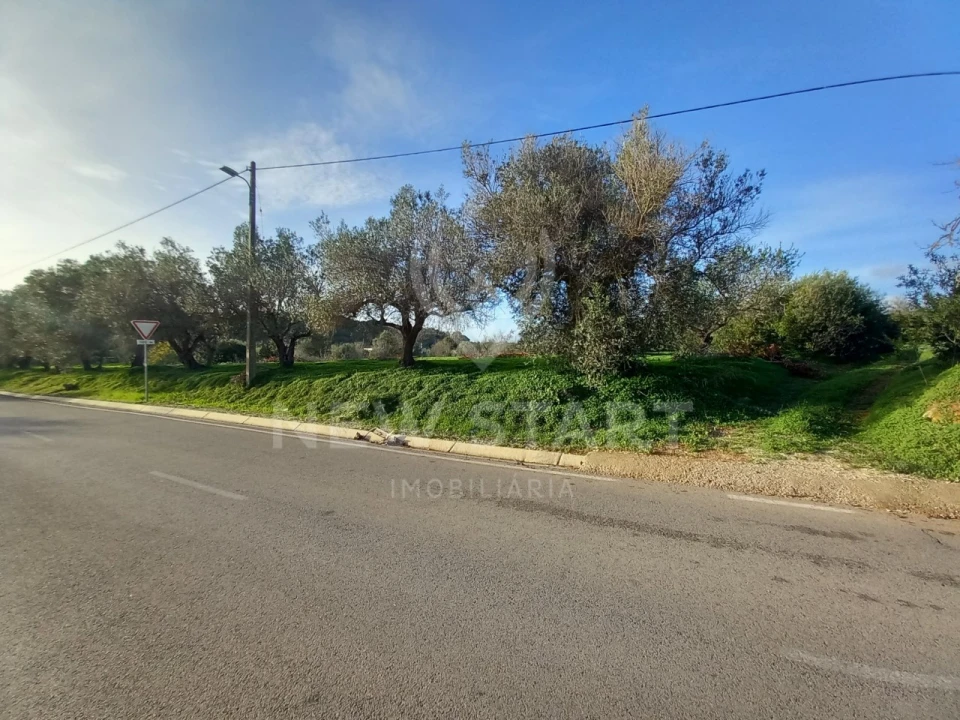 Terreno Misto para Venda em Quelfes Foto 2