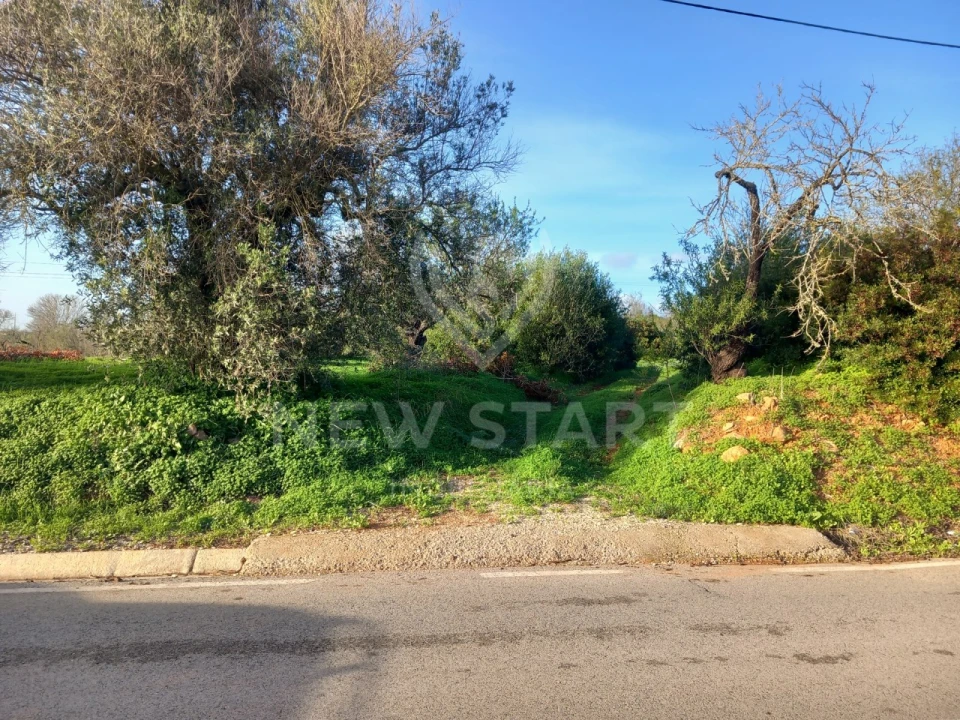 Terreno Misto para Venda em Quelfes Foto 4