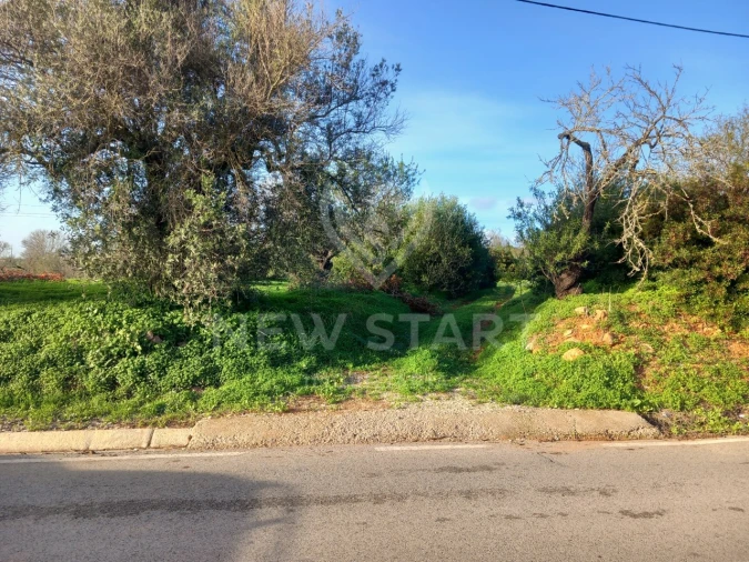 Terreno Misto para Venda em Quelfes Foto 4