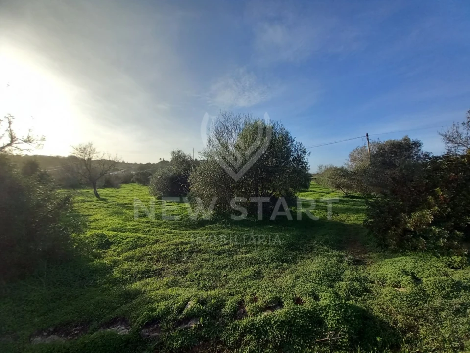 Terreno Misto para Venda em Quelfes Foto 1