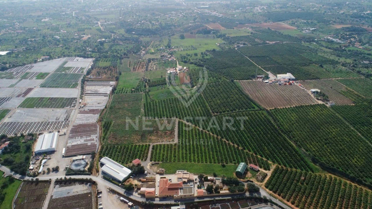Quinta para Venda em Quelfes Foto 11