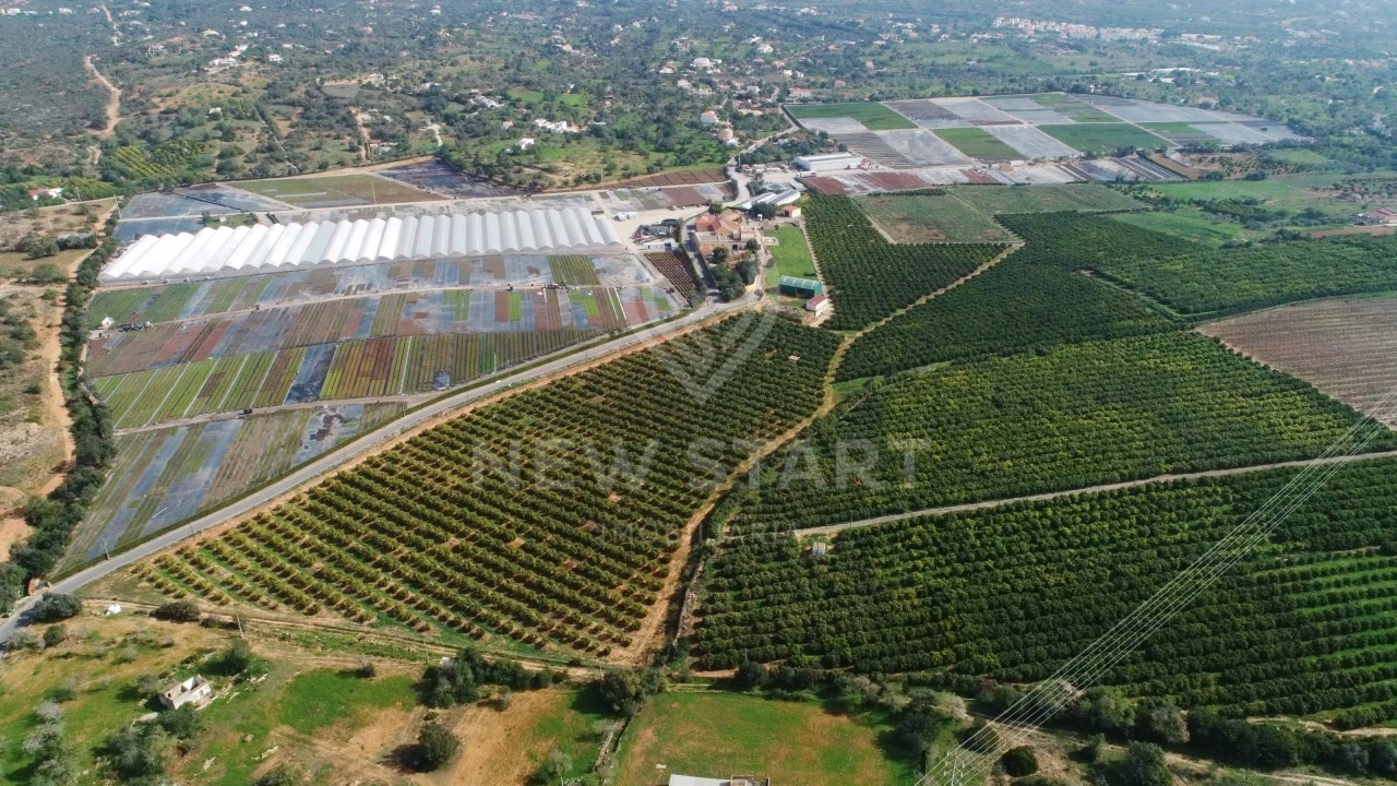 Quinta para Venda em Quelfes Foto 17