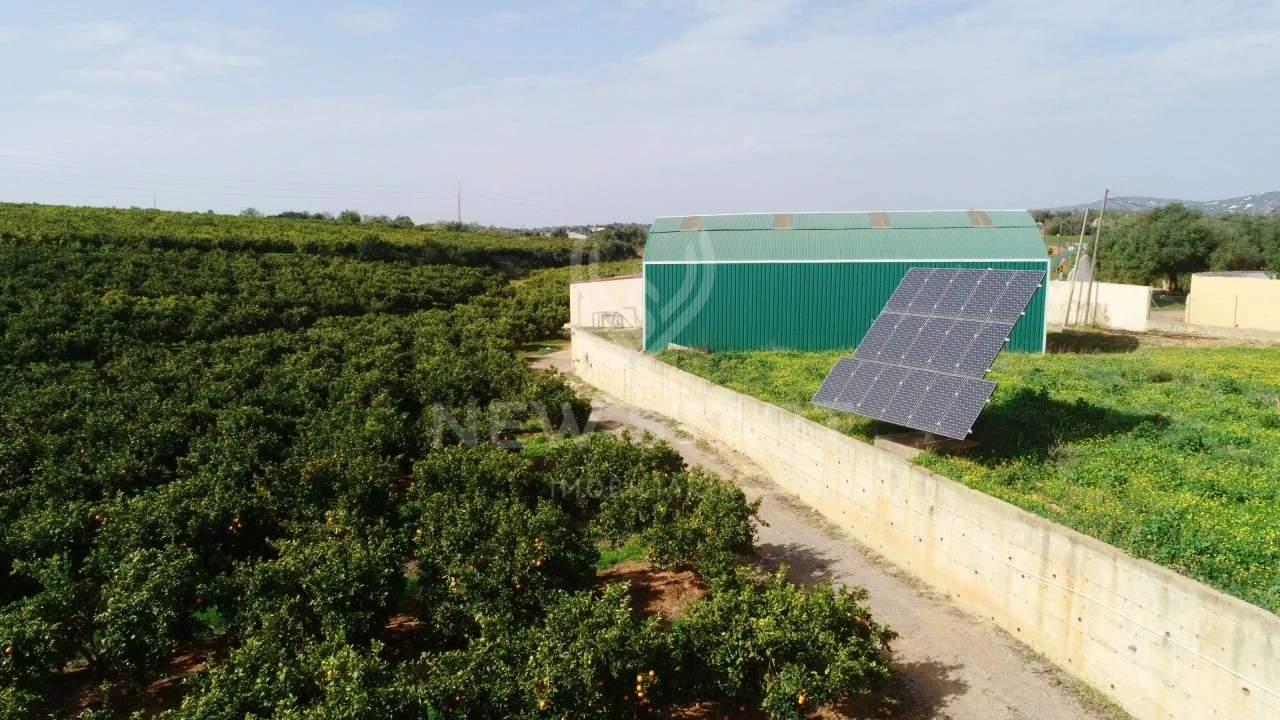 Quinta para Venda em Quelfes Foto 18