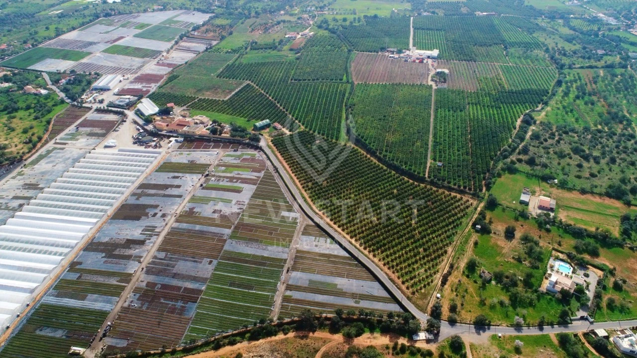 Quinta para Venda em Quelfes Foto 20