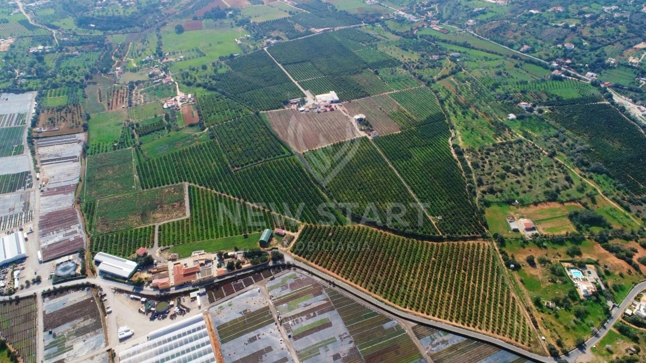 Quinta para Venda em Quelfes Foto 21