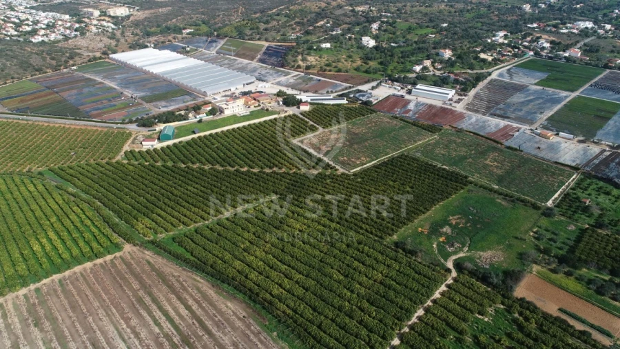 Quinta para Venda em Quelfes Foto 5