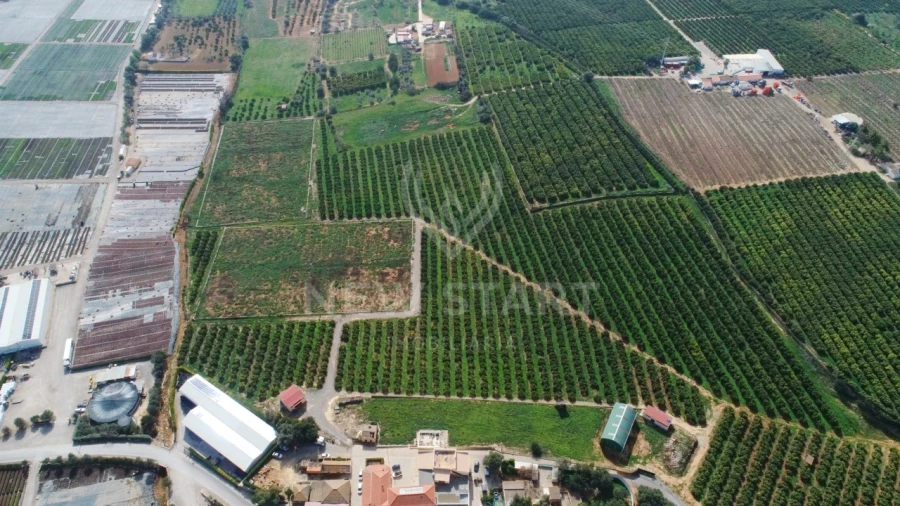 Quinta para Venda em Quelfes Foto 12