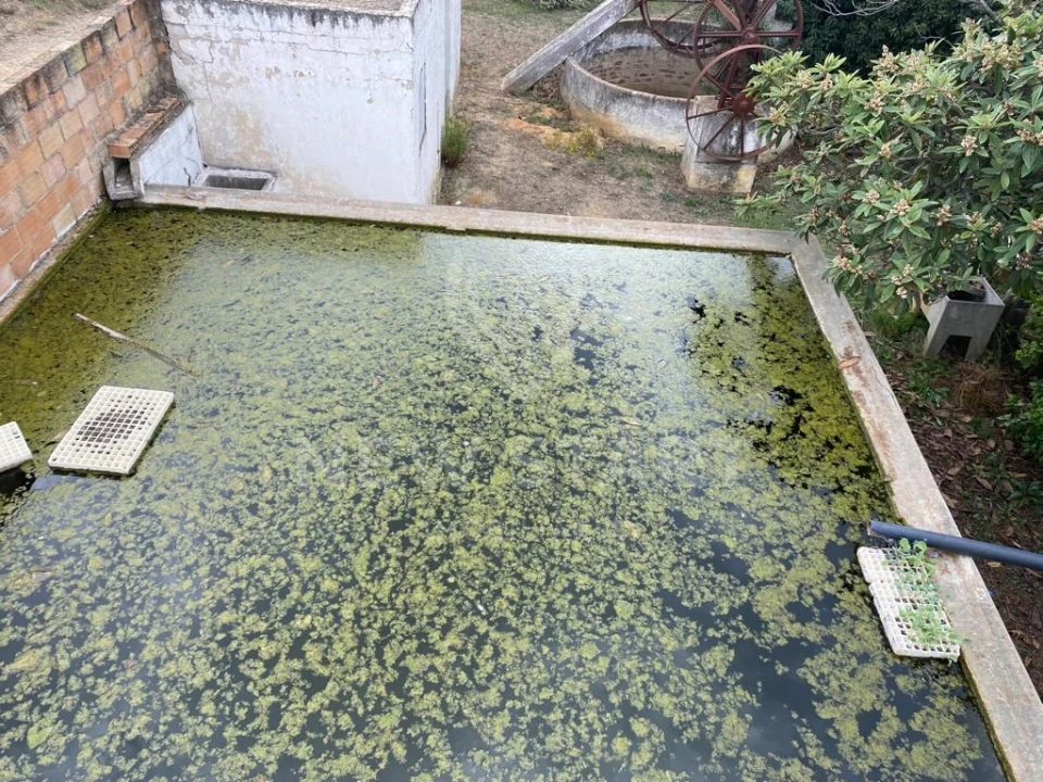 Terreno Misto para Venda em Pechão Foto 3