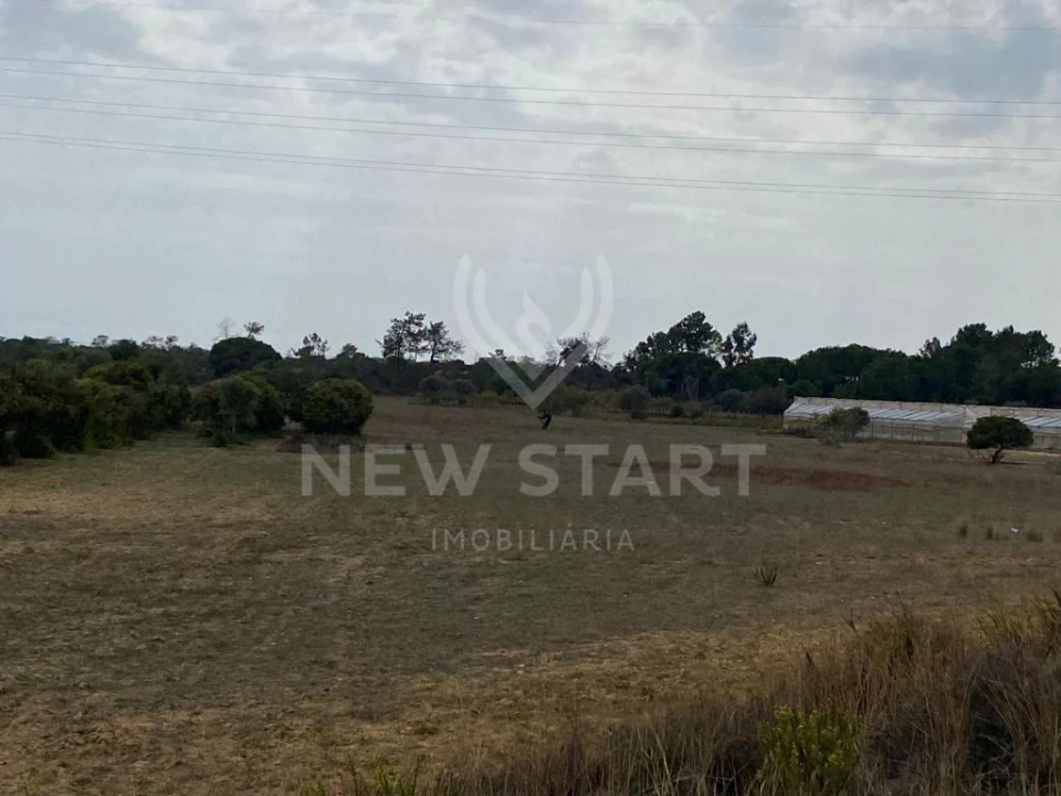 Terreno Misto para Venda em Pechão Foto 6