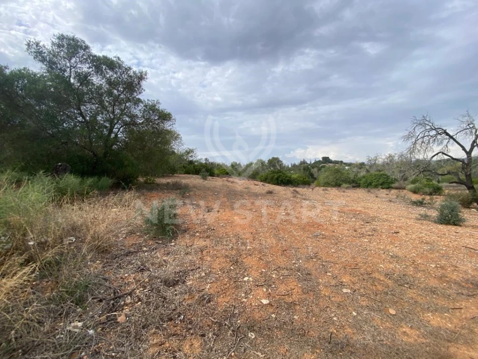 Terreno Misto para Venda em Pechão Foto 9