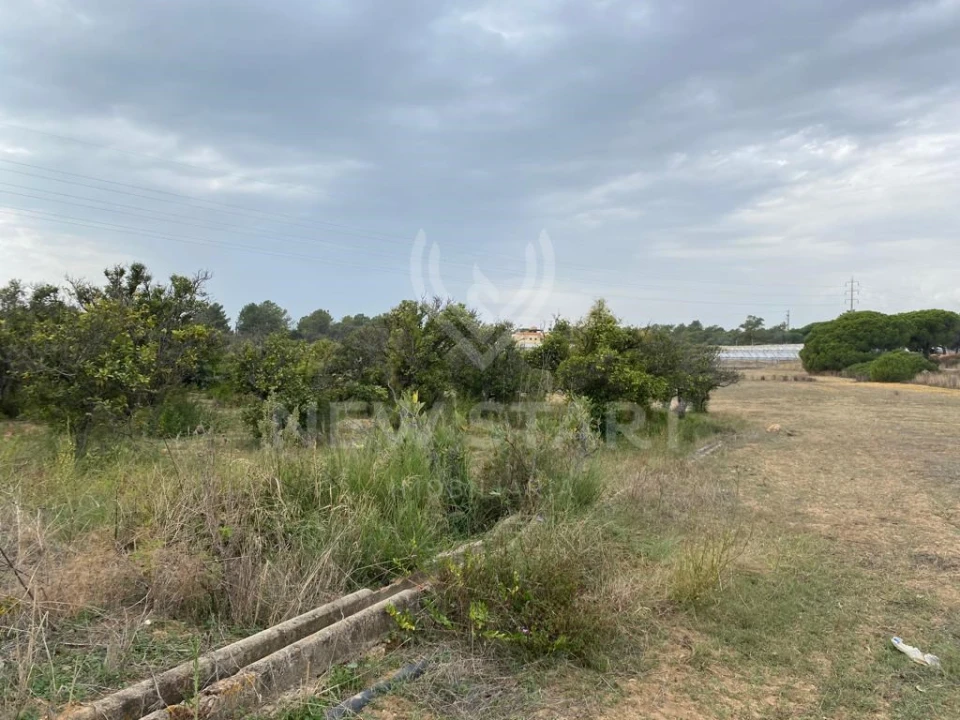 Terreno Misto para Venda em Pechão Foto 11