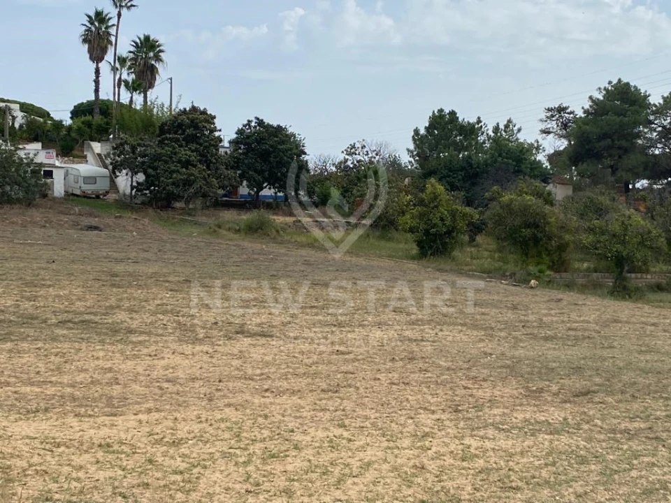 Terreno Misto para Venda em Pechão Foto 12